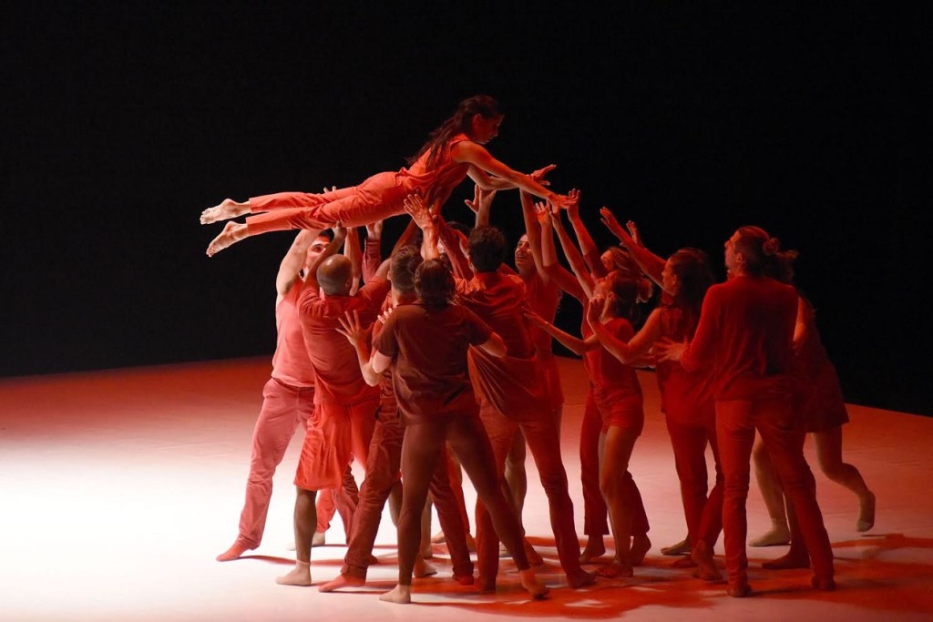 CCN - Ballet de Lorraine -Murmuration 